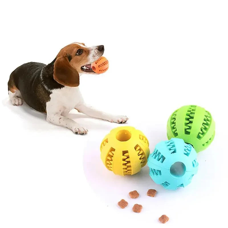 Bissfester Hunde Spielzeugball