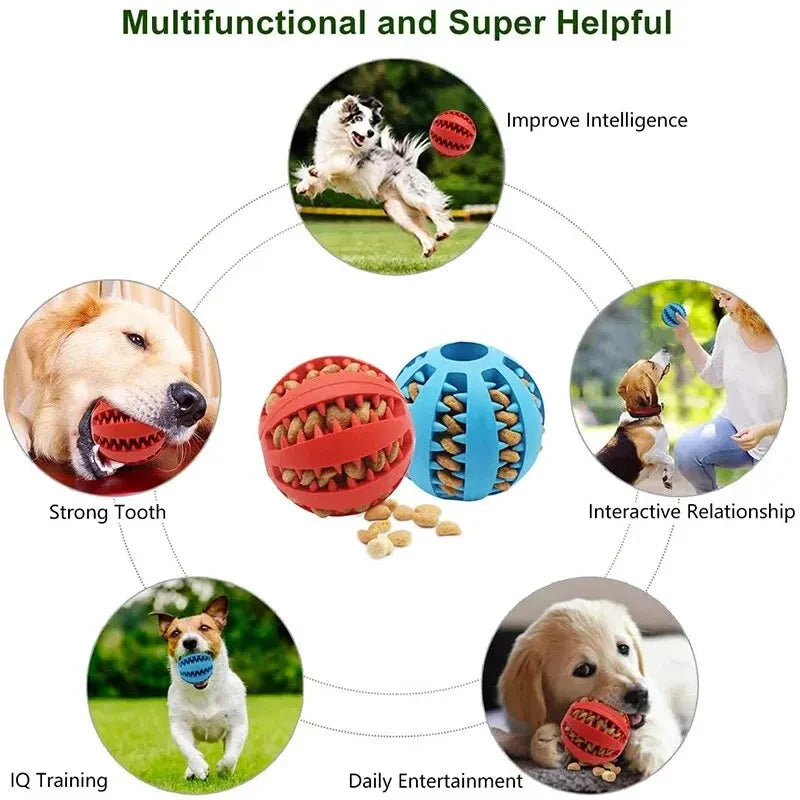 Bissfester Hunde Spielzeugball