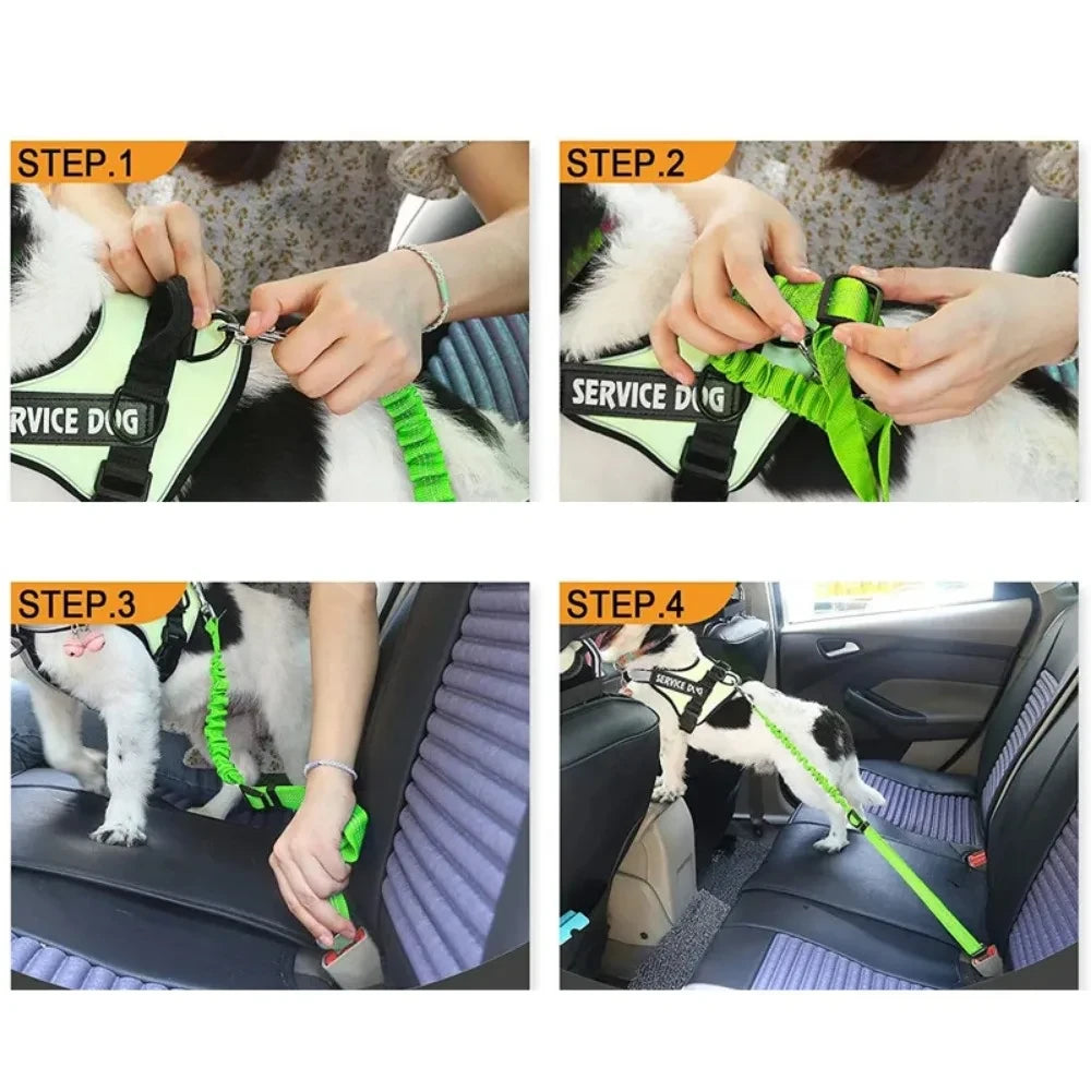 Verstellbarer Hundesicherheitsgurt für das Auto